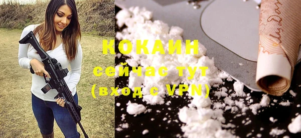 соль ск Волосово