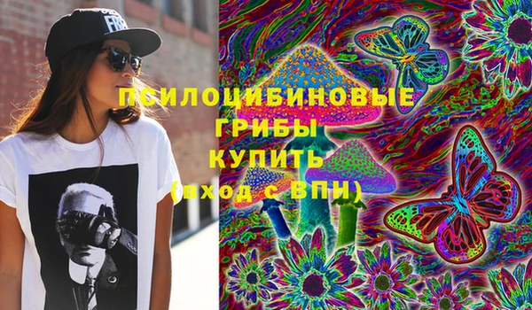 соль ск Волосово