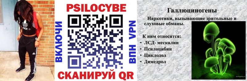 Галлюциногенные грибы Cubensis  Еманжелинск 